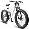 Ecarpat 26 Inch Fat Tires Mountain Bike, 4-Inch Wide Wheel, 21-Speed Disc Brakes