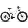 Ecarpat 26 Inch Fat Tires Mountain Bike, 4-Inch Wide Wheel, 21-Speed Disc Brakes