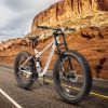 Ecarpat 26 Inch Fat Tires Mountain Bike, 4-Inch Wide Wheel, 21-Speed Disc Brakes