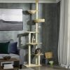 Cat Tree 2