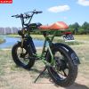 AKEZ S1 750W 48V 20 Inch Flat Tire Electirc Bicycle
