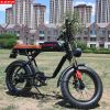 AKEZ S1 750W 48V 20 Inch Flat Tire Electirc Bicycle