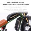 AKEZ S1 750W 48V 20 Inch Flat Tire Electirc Bicycle