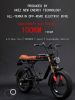 AKEZ S1 750W 48V 20 Inch Flat Tire Electirc Bicycle